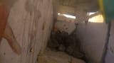 a3f29efe4ae35666-1200x675