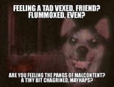FB_IMG_1674068577458
