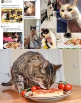 ImMakingLunchItsAlmostReady