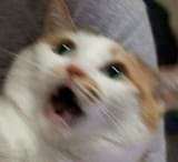 eep