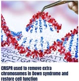 CRISPR