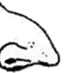 1718644324410403