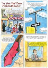 new york jew eruv