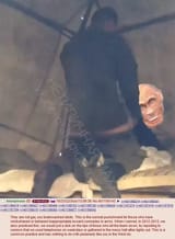 1749132354552370