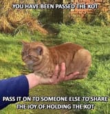 1665561141548554