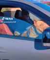 pitbull car_thumb.jpg