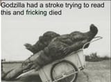 stroke