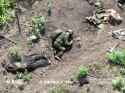 funny russian soldier death_thumb.jpg