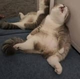 sleep