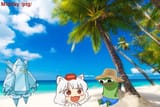 awoo midday2