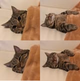 345368054836