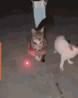 maj.laser