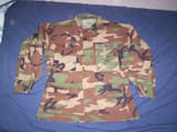 M81_Woodland_Camoflauge_Pattern_BDU