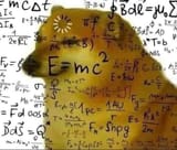 doggo math processing