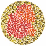 1647663534250