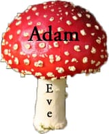 adameve