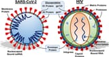 HIV_A_300055_O_F0001g (1)