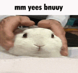 1727629340660739