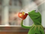 Rene Frog Tea