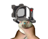 1681629124240415