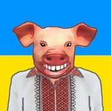 pig pig