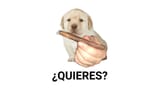 dogerino