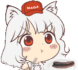 awoo pickle5