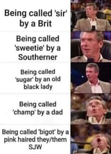 1748381800321312