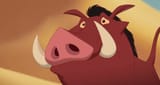 pumbaa-310x165