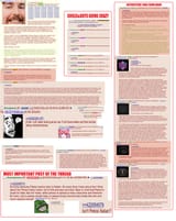 anon on mr beast manufactured ecelebs and night inc