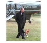 bushblairpoodle-3404868986