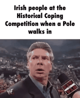 Irish and Poles coping_1671734256120673