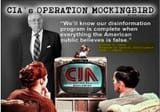 MEDIA F