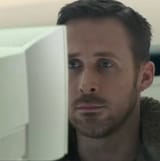 gosling