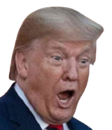 1728620848317559