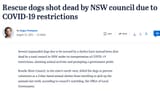 australia dog kill
