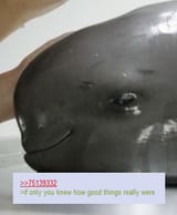 1726691693683818
