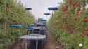 Drone harvest in Israel_1688369031468231_thumb.jpg