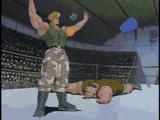guile-trash