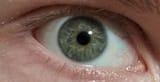 eye