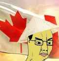 chink leaf