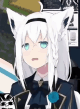 Fubuki headshaking