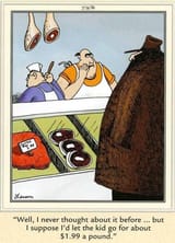 FarSide