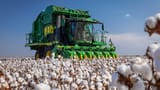 cotton harvester