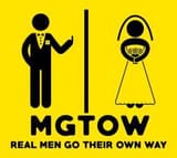 MGTOW meme (FBI cloud meme fusion center)