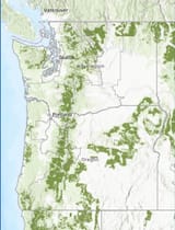 1719586089581397