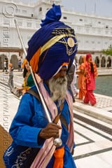 IMG_2772