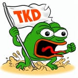 tkd3 (2)