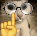 cat-nerd