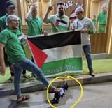palestinian-supporters-step-on-a-puppy-wrapped-in-the-v0-zrat7kkrc51c1